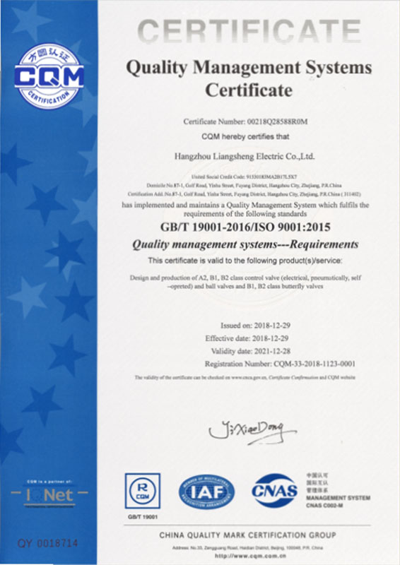 杭州良盛电气  ISO9001质量管理体系认证证书（英文）