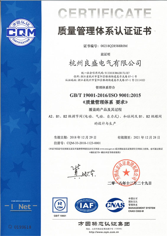 杭州良盛电气  ISO9001质量管理体系认证证书（中文）