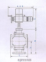 电动三通调节阀普通型外形图